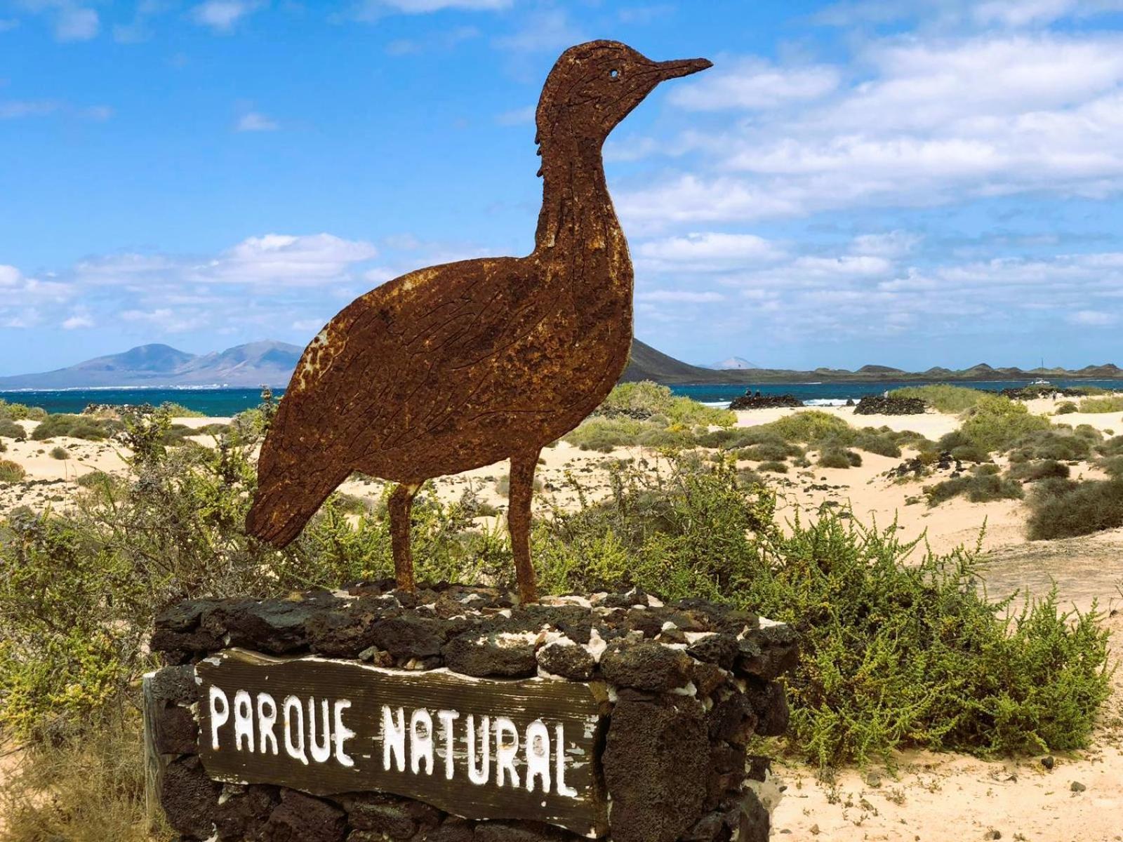 Bubela By Sea You There Fuerteventura คอร์ราเลโฮ ภายนอก รูปภาพ